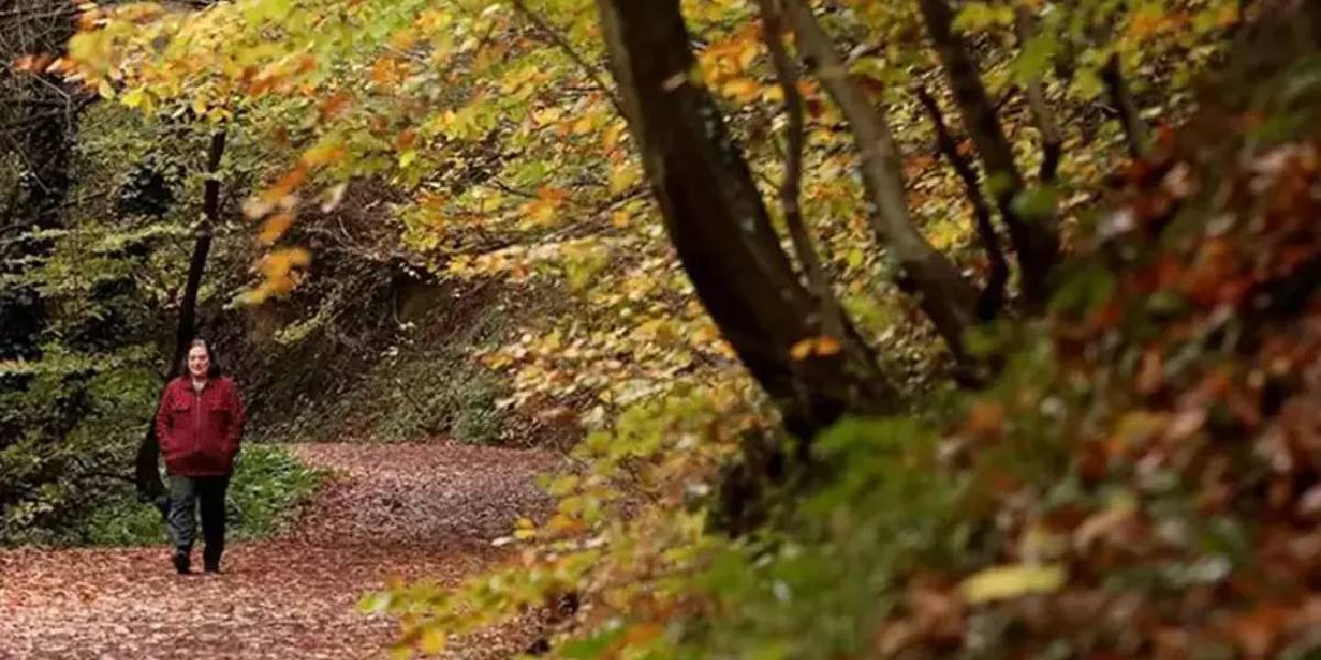 polonezkoy-tabiat-parki