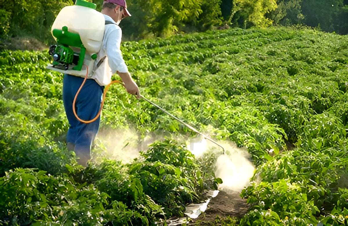 Пестициды и химические удобрения. Ядохимикаты в сельском хозяйстве. Пестициды в почве. Пестициды в сельском хозяйстве.