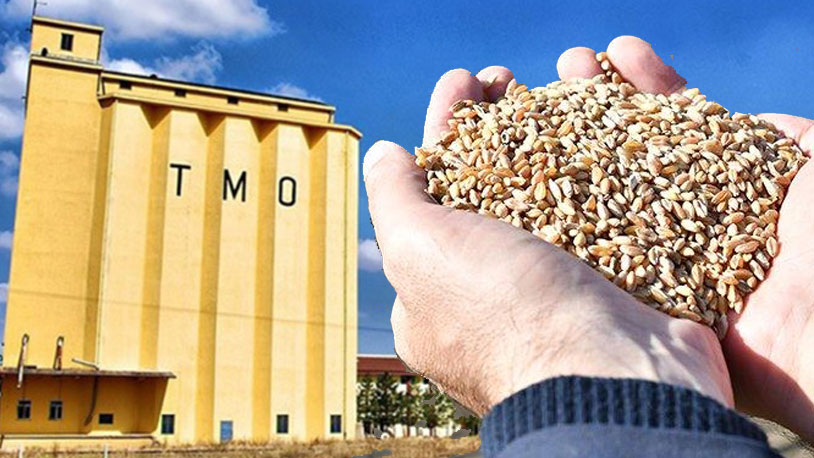 pot52227-milletvekili-ceylan-tmo-bugdayi-yurtdisi