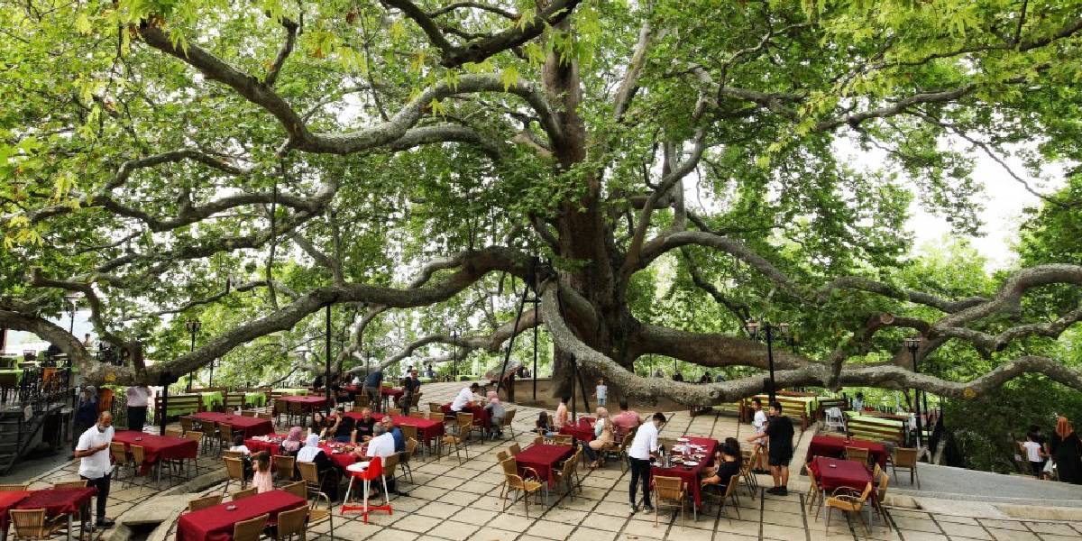 inkaya-asirlik-cinari