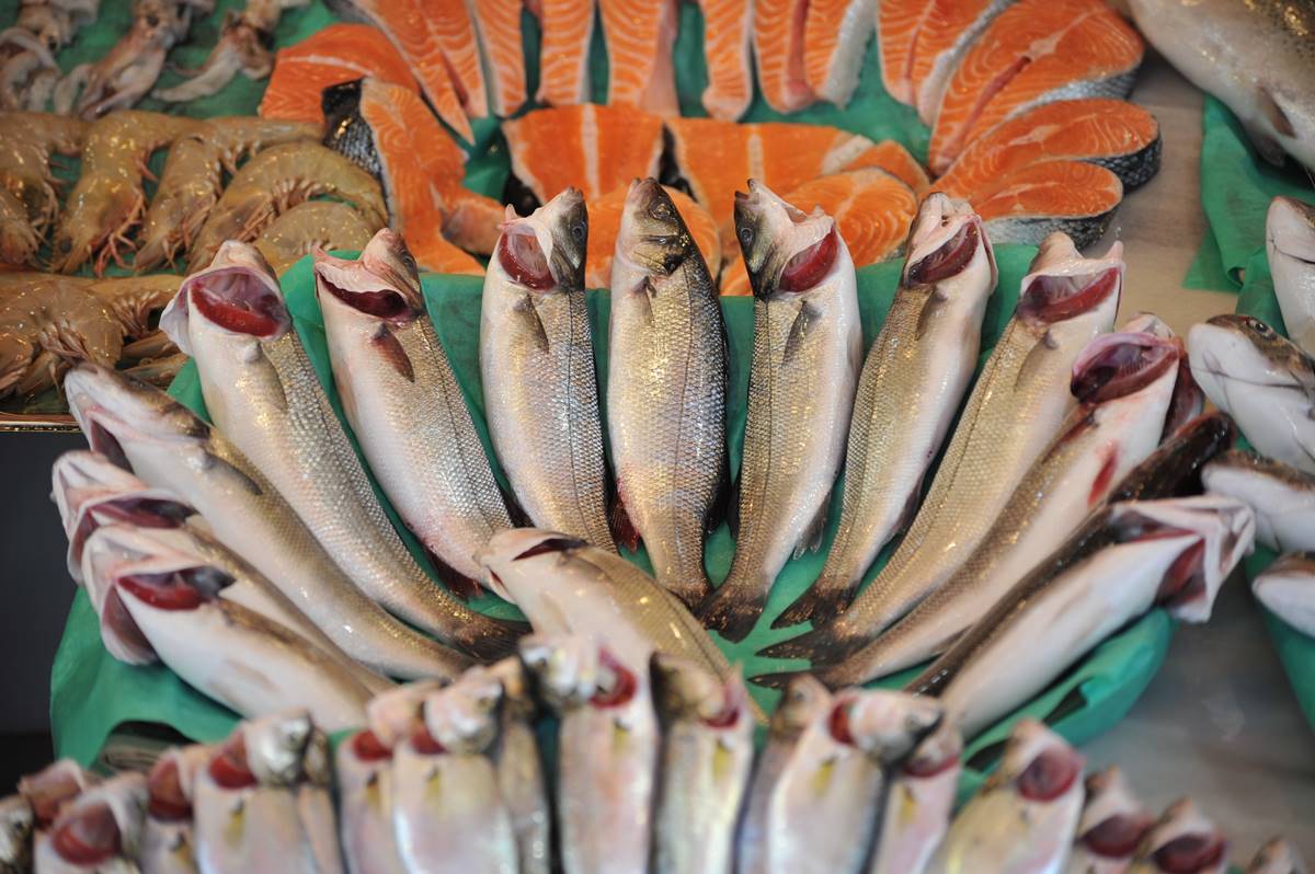 turkiye-su-urunleri-ihracat-rakamlari-2023-1