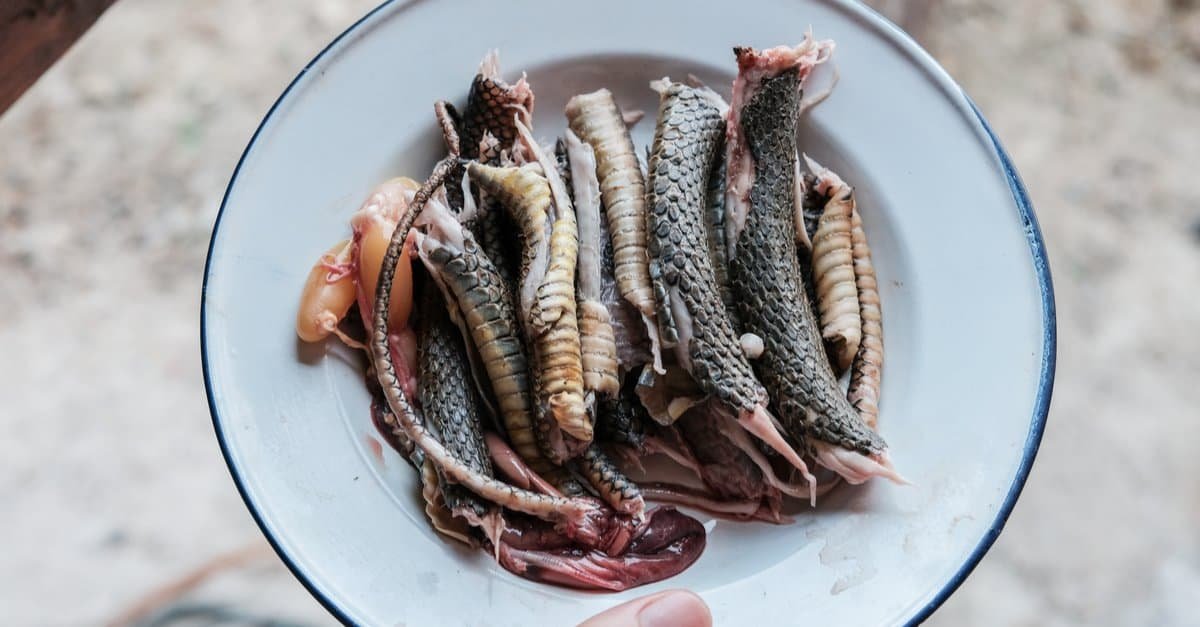 yilan-eti-yenir-mi-yilan-eti-haram-mi-helal-mi