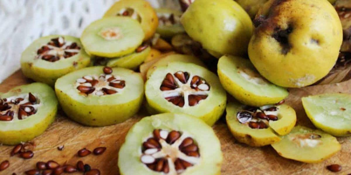 ayva-cekirdegi-jeli-faydalari-2