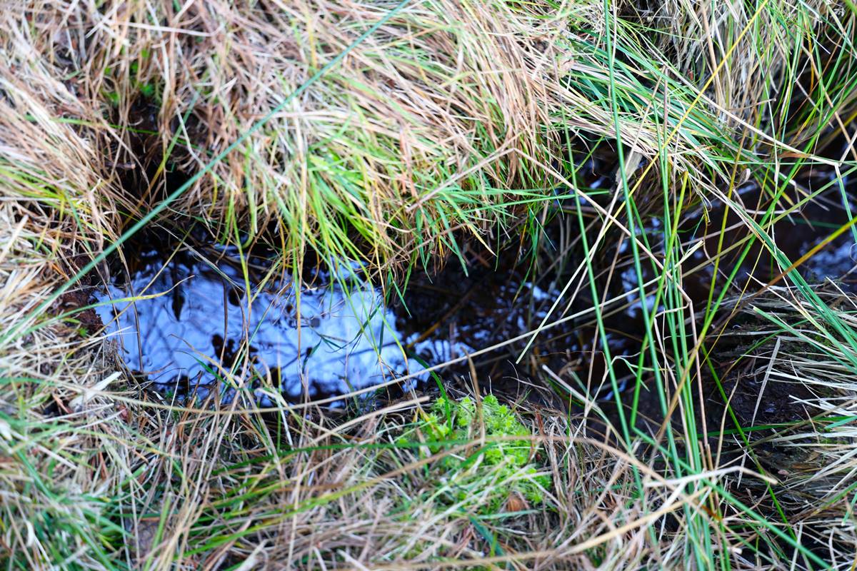 sivas-susehri-karacaoren-koyu-petrol-katran-baba-turbesi-4