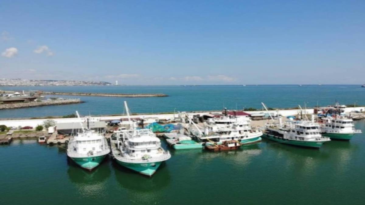 gfgf-2023-11-22t111639-002