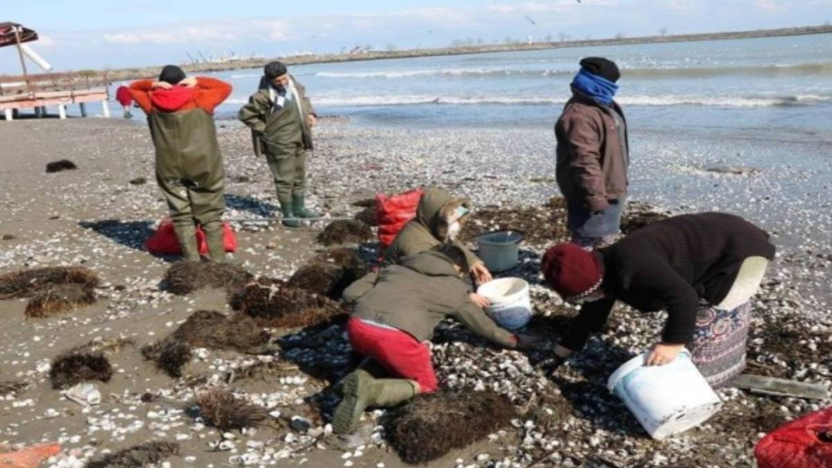 gun-isigiyla-kalkip-topluyorlar-guney-koreden-ispanyaya-kadar-alicisi-var-biz-igreniyoruz-ama-dunya-onun-pesinde-1