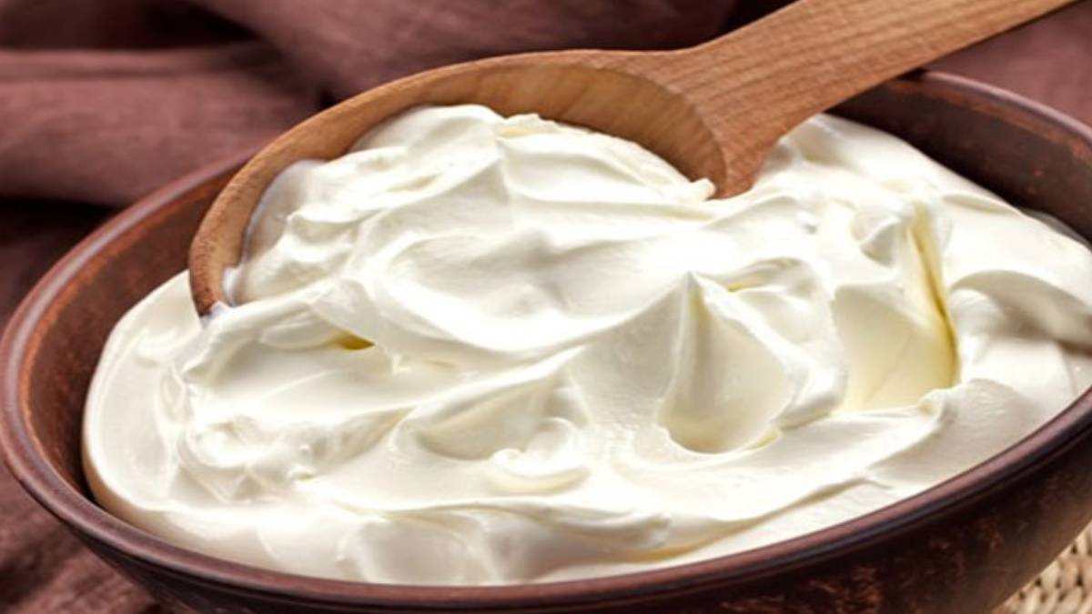 yogurdun-icerisine-bir-kasik-siyah-cay-atip-kasik-kasik-tuketin-faydasini-duyunca-cok-sasiracaksiniz