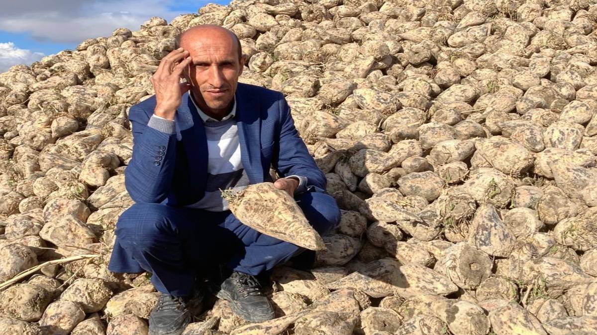 turkiye-icin-servet-degerinde-gecen-yil-kimse-tenezzul-edip-ekmemisti-simdi-topraktan-adeta-fiskirdi-1