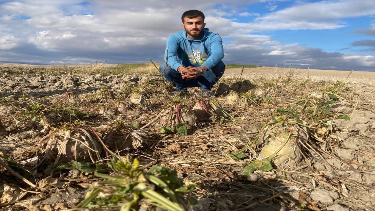 turkiye-icin-servet-degerinde-gecen-yil-kimse-tenezzul-edip-ekmemisti-simdi-topraktan-adeta-fiskirdi