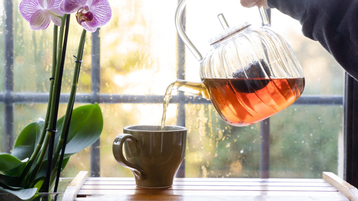 balgami-en-hizli-ne-soker-1