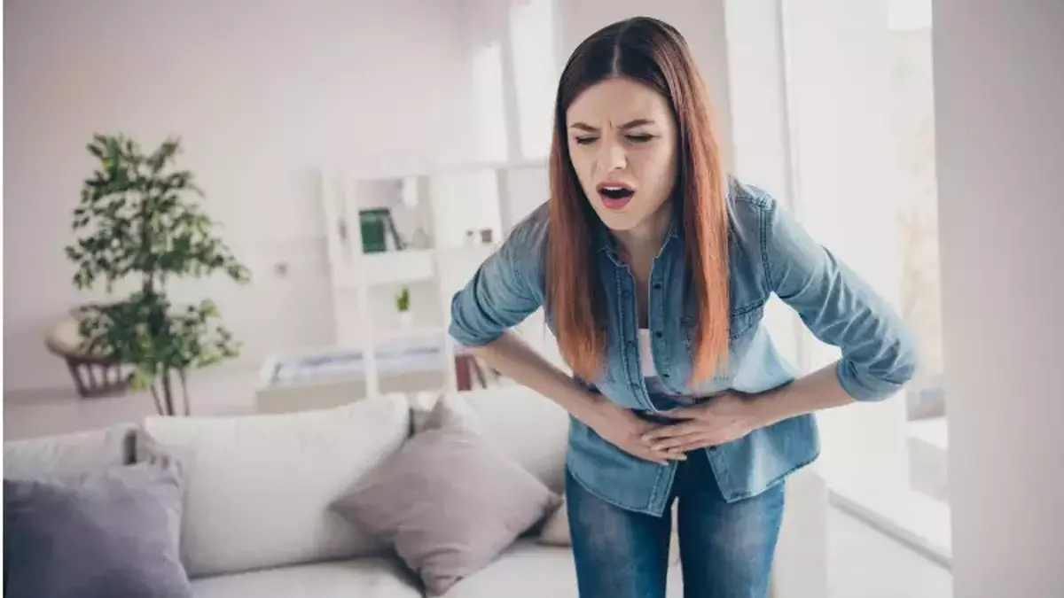 taze-tavuk-nasil-anlasilir1