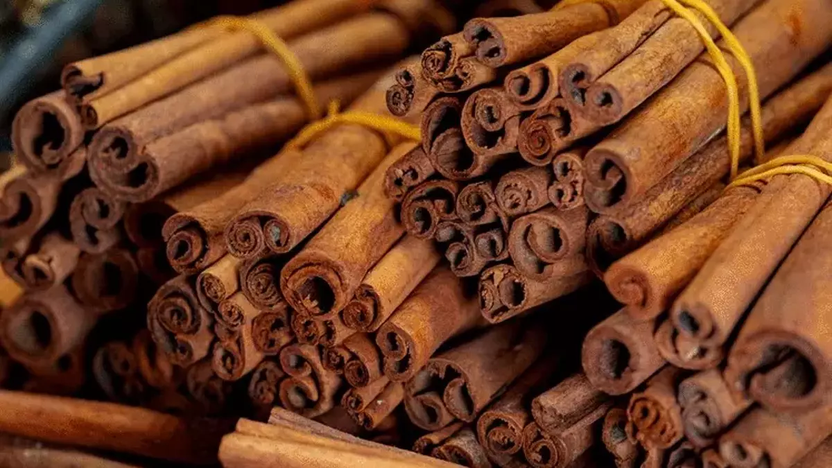 yaglari-yaktiran-yogurt-kuru2