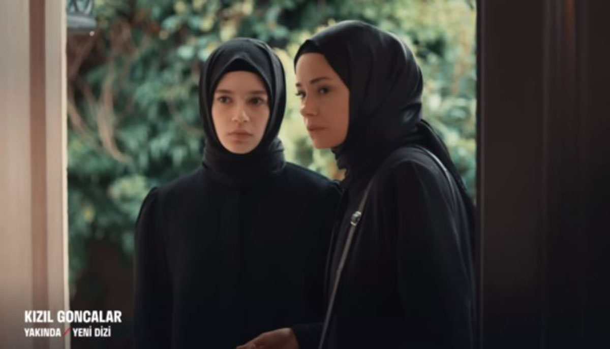dizi.jpg