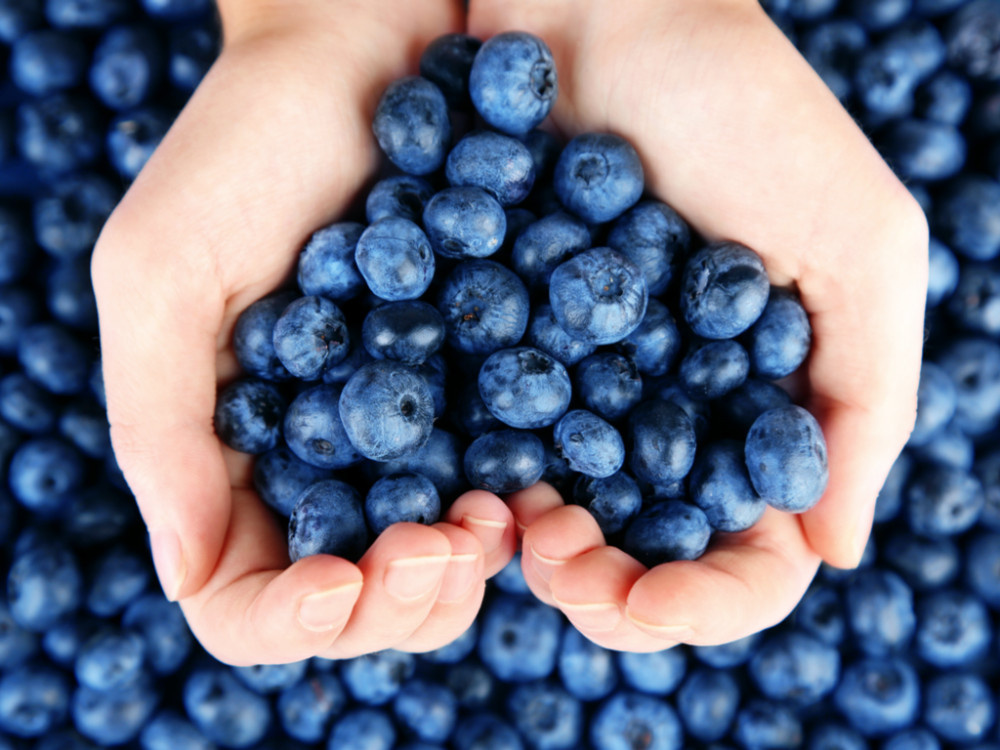 1856920-3-1521633491zhpax