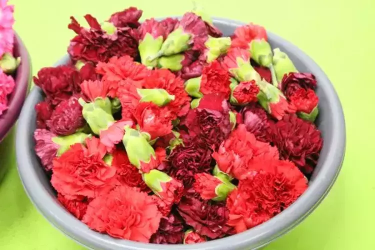 65682d2f50acca85802d921e