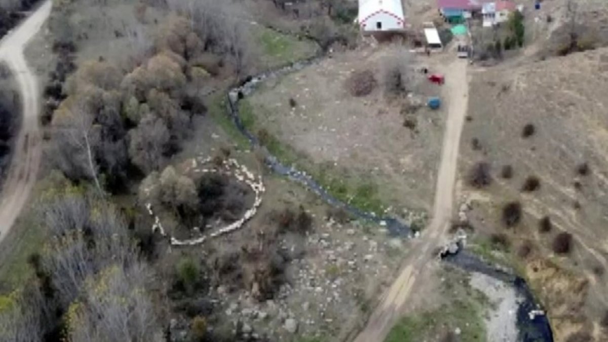 img-7132-3011202314452