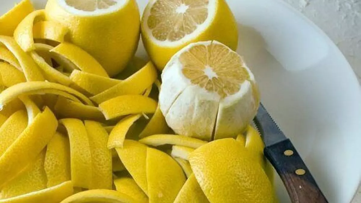 limonun-farkli-kullanim-alanlari-1