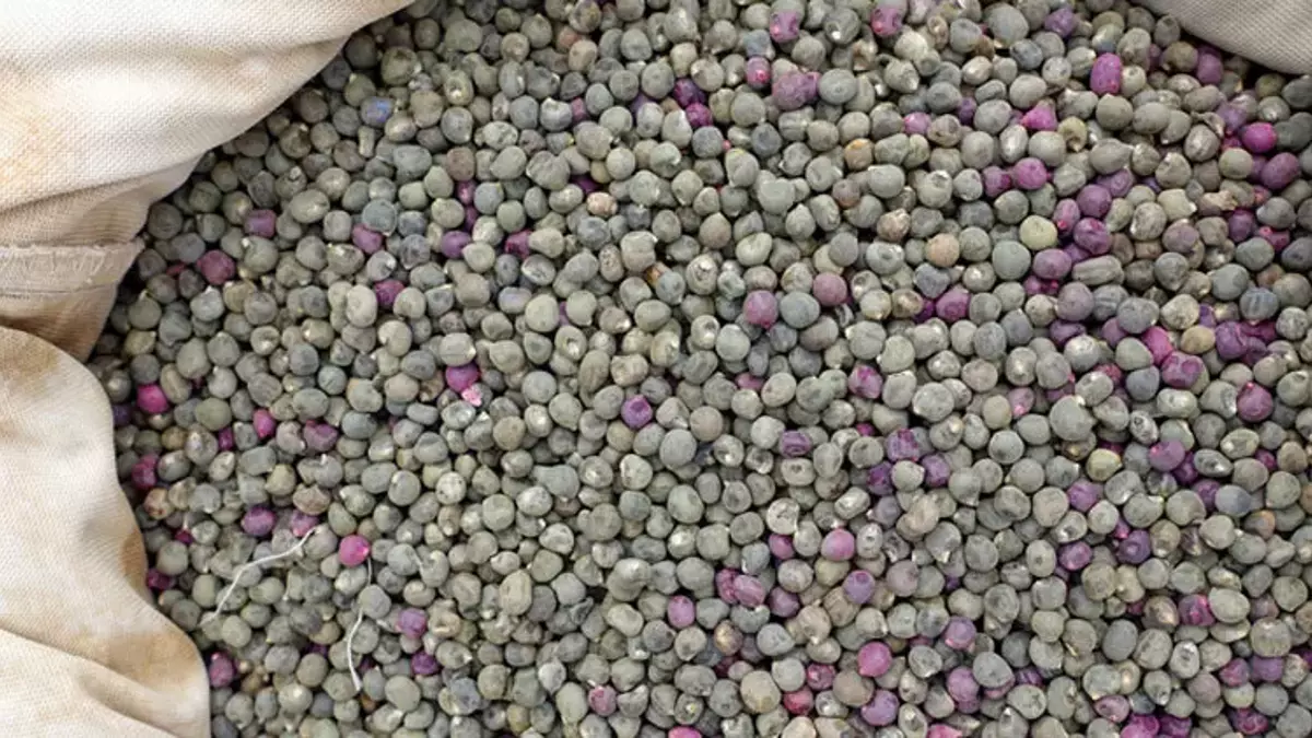 dizdeki-sivi-kaybina-ne-iyi-gelir-1