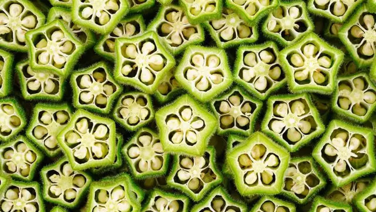 dizdeki-sivi-kaybina-ne-iyi-gelir-3