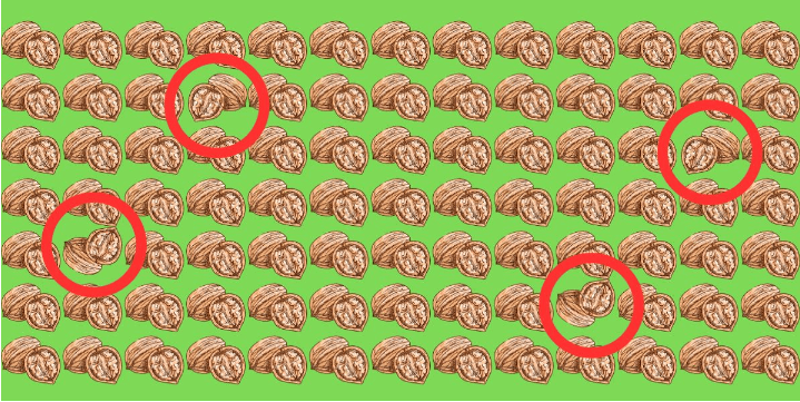 z.png