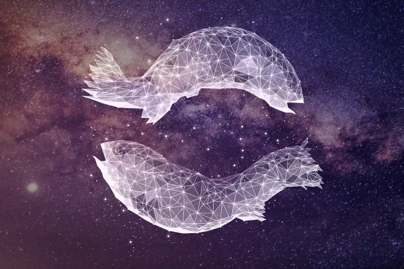 278942-800x533-zodiac-sign-matches-pisces.webp