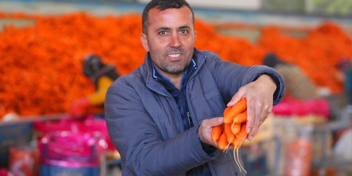 konyada-havuc-hasadi-2