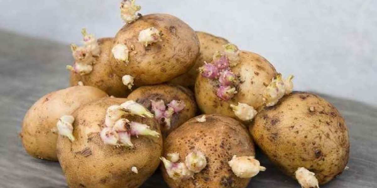 patates-cilli.jpg