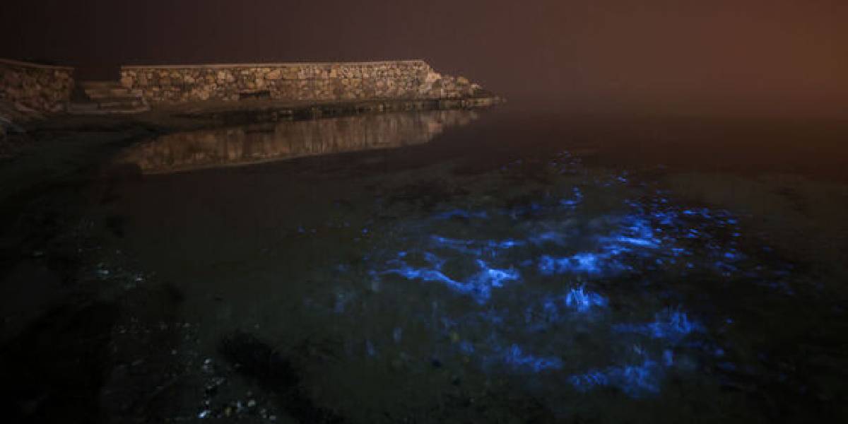 marmara-denizinde-mavi-renkli-parlamalar-1.jpg
