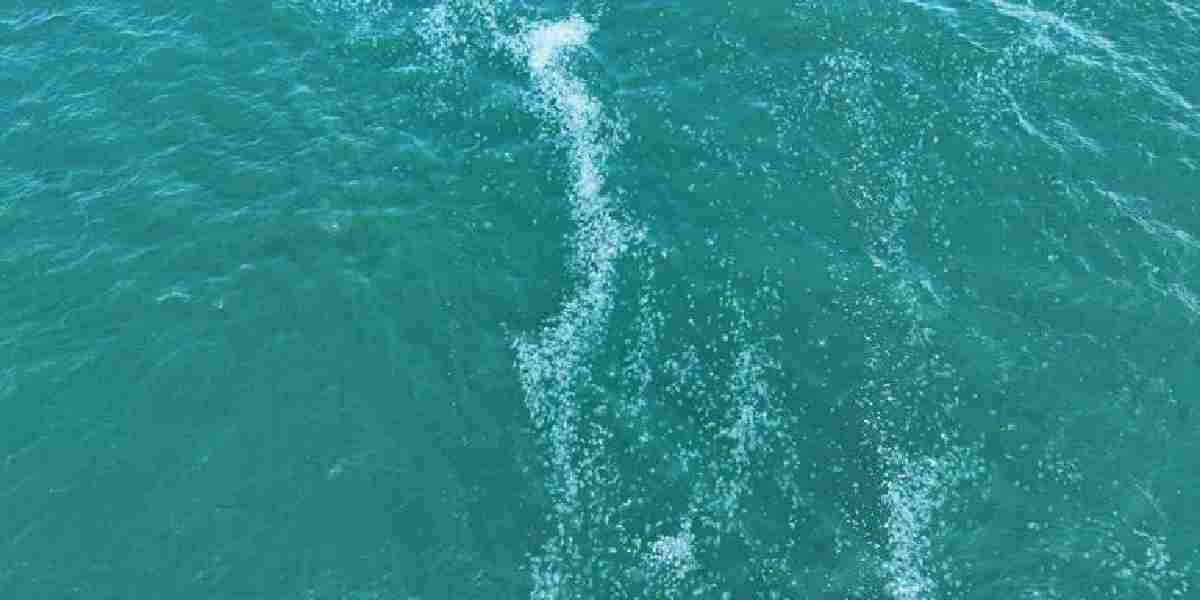marmara-denizinde-denizanasi-istilasi.jpg