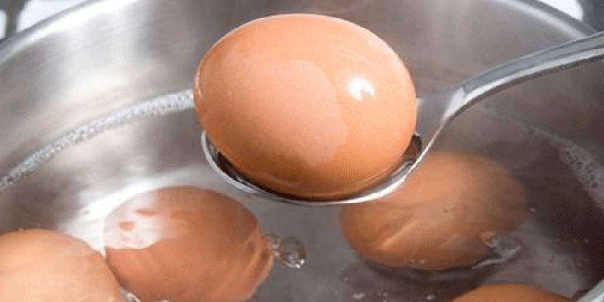 yumurta-haslamak.jpg