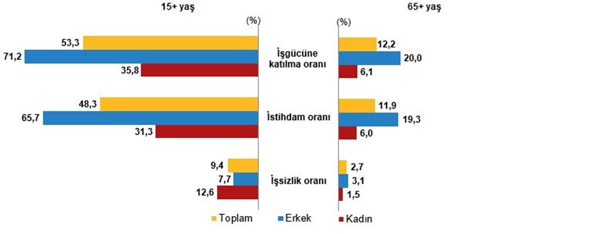 turkiye-yasli-istatistikleri-yaslilar-en-cok-hangi-hastaliktan-oluyor-en-yasli-sehir-hangisi-4.jpeg