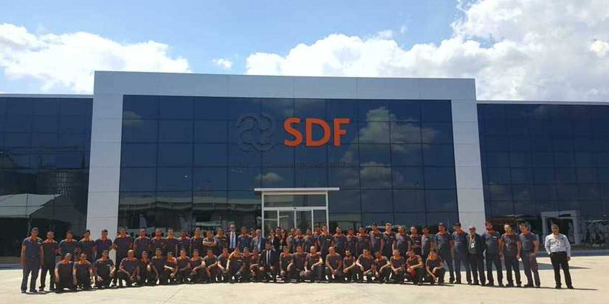 sdf-group-1.jpg