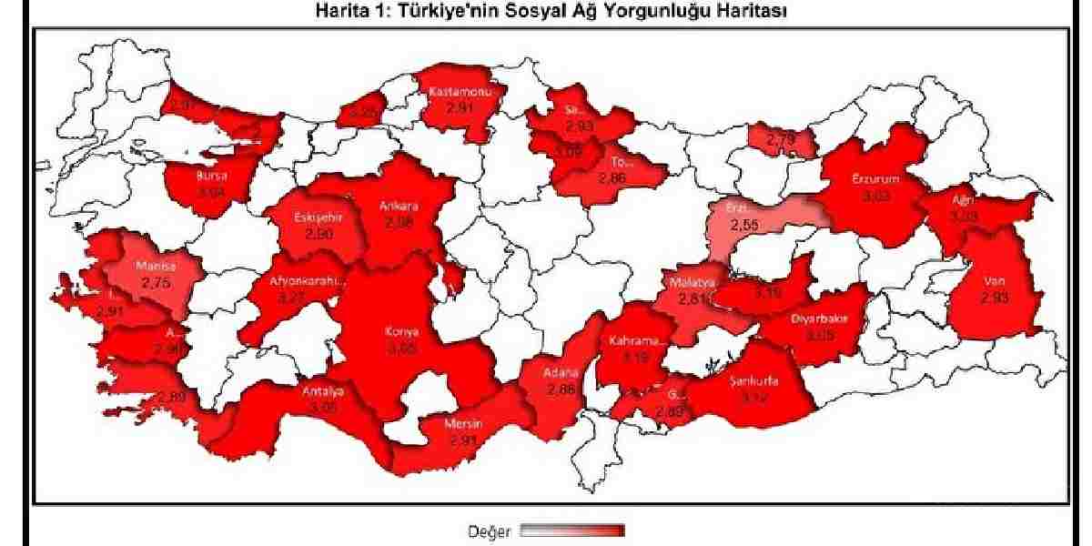 turkiyede-en-cok-sosyal-ag-kullanan-sehir-1.jpg