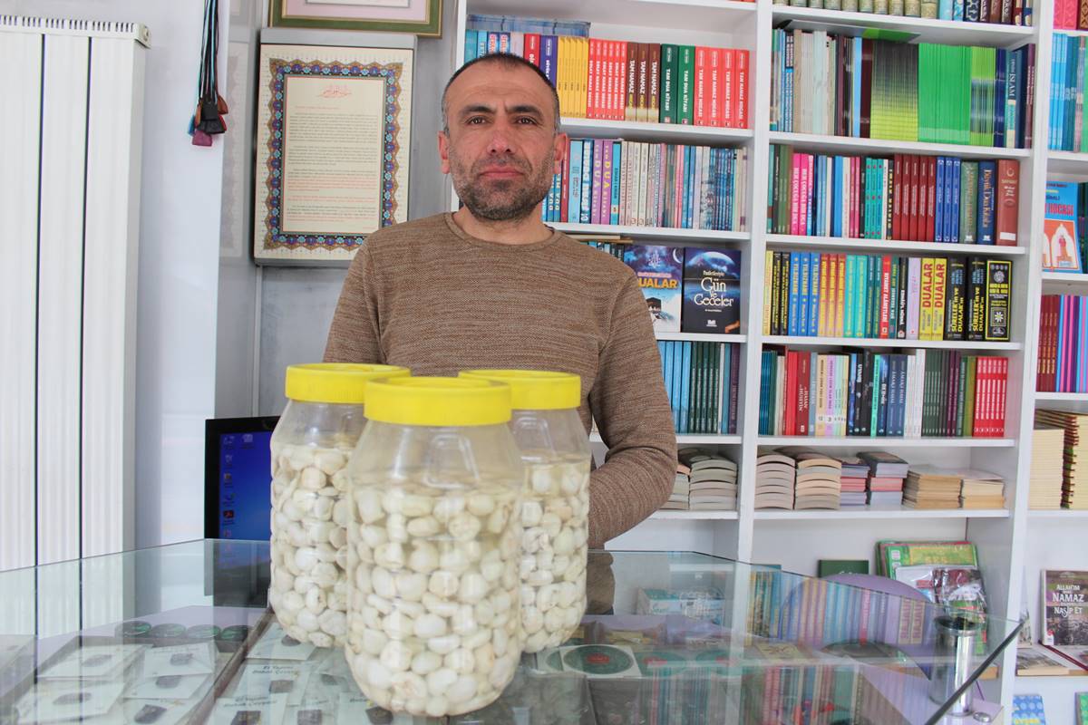 kenger-sakizi-faydalari-neler-fiyati-ne-kadar-1