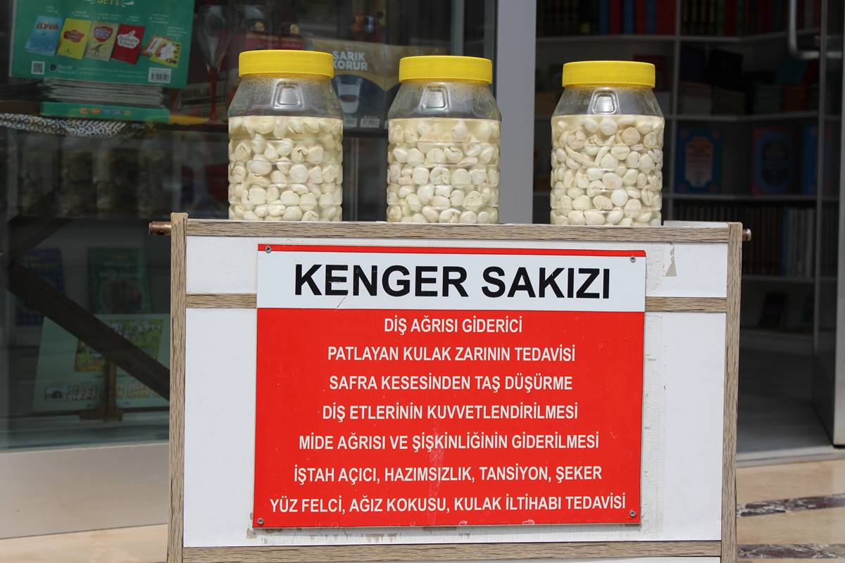 kenger-sakizi-faydalari-neler-fiyati-ne-kadar-2