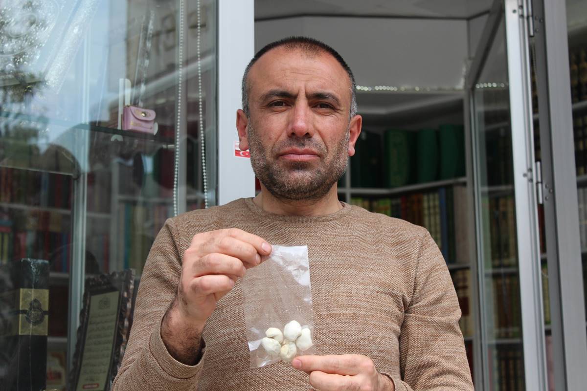 kenger-sakizi-faydalari-neler-fiyati-ne-kadar-8