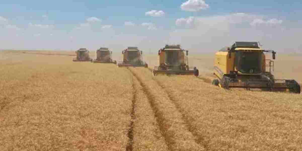 ankara-polatlida-bugday-hasadi-1.jpg