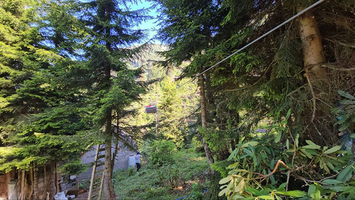 tavuklarini-ayilardan-koruyabilmek-icin-yerden-25-metre-yukseklikte-kumes-yapti-1