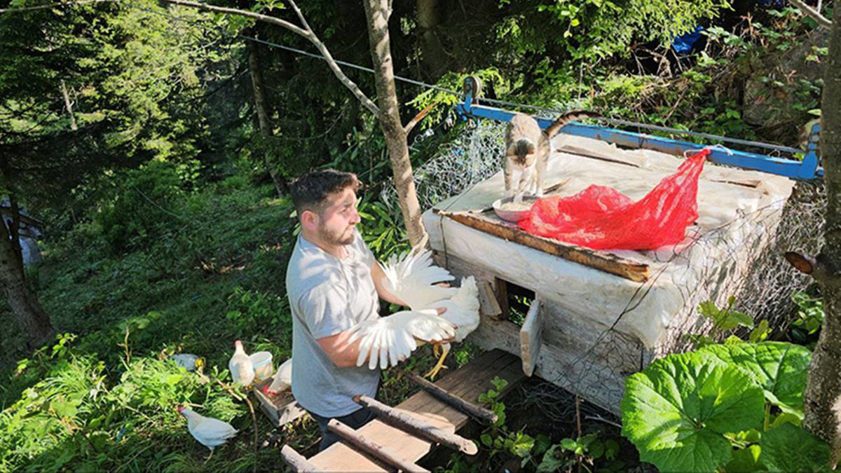 tavuklarini-ayilardan-koruyabilmek-icin-yerden-25-metre-yukseklikte-kumes-yapti-2