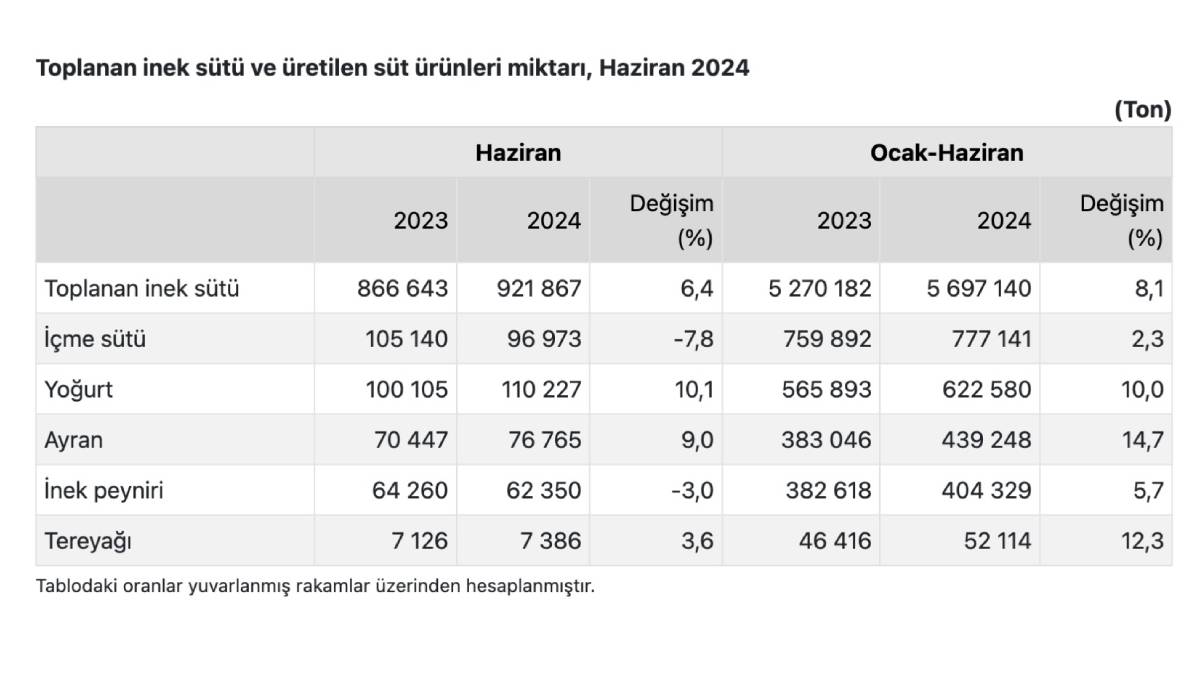 yeni-proje-3.jpg