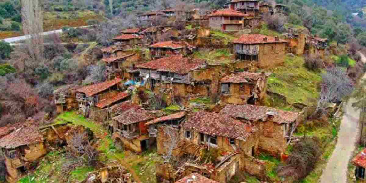 odemis-lubbey-koyu-1