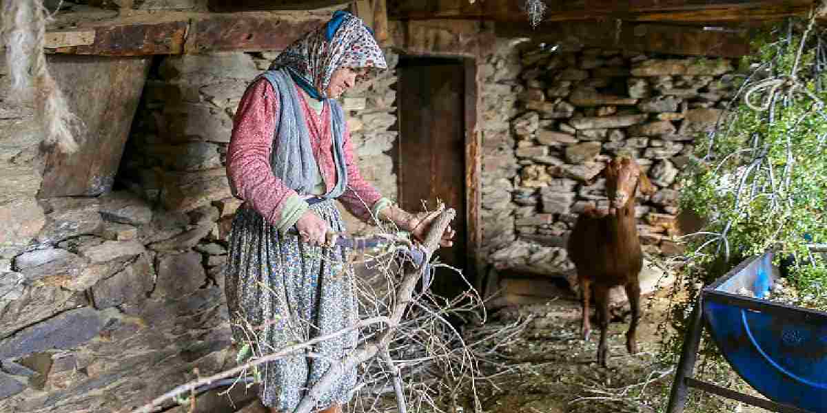 odemis-lubbey-koyu-3