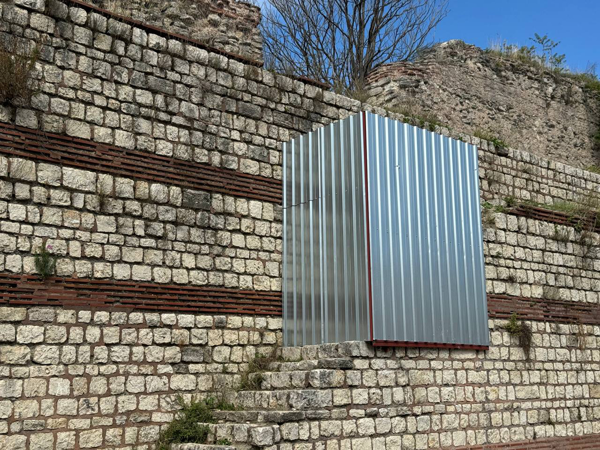 10203038.jpg