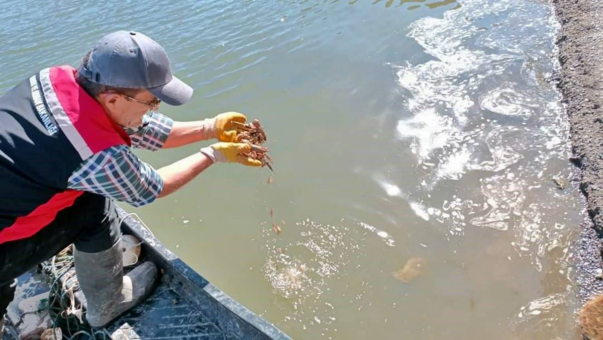 hayalet-ag-nedir-nerede-kullanilir-ne-ise-yarar-zararli-mi-neden-yasak-2