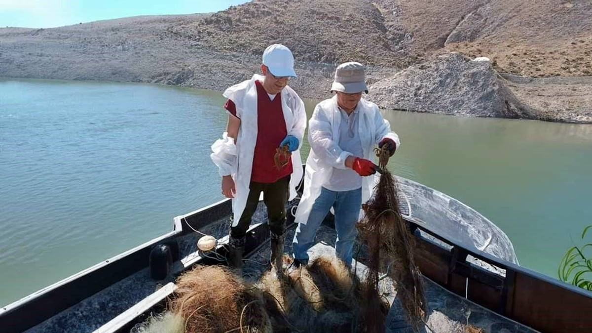 hayalet-ag-nedir-nerede-kullanilir-ne-ise-yarar-zararli-mi-neden-yasak-3