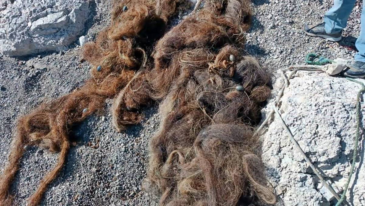 hayalet-ag-nedir-nerede-kullanilir-ne-ise-yarar-zararli-mi-neden-yasak-5