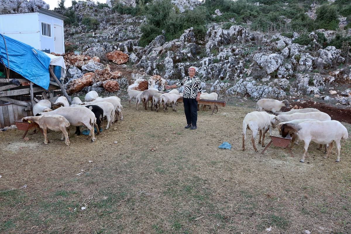 hatay-yayladagi-son-dakika-haberleri-4.jpg