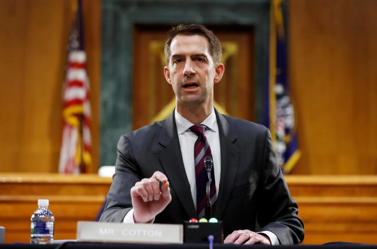 tom-cotton.jpg