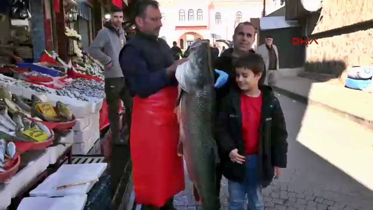 elazigda-hangi-baliklar-var-elazigda-nerede-balik-tutulur-elazigda-balik-satiliyor-mu-8.jpg