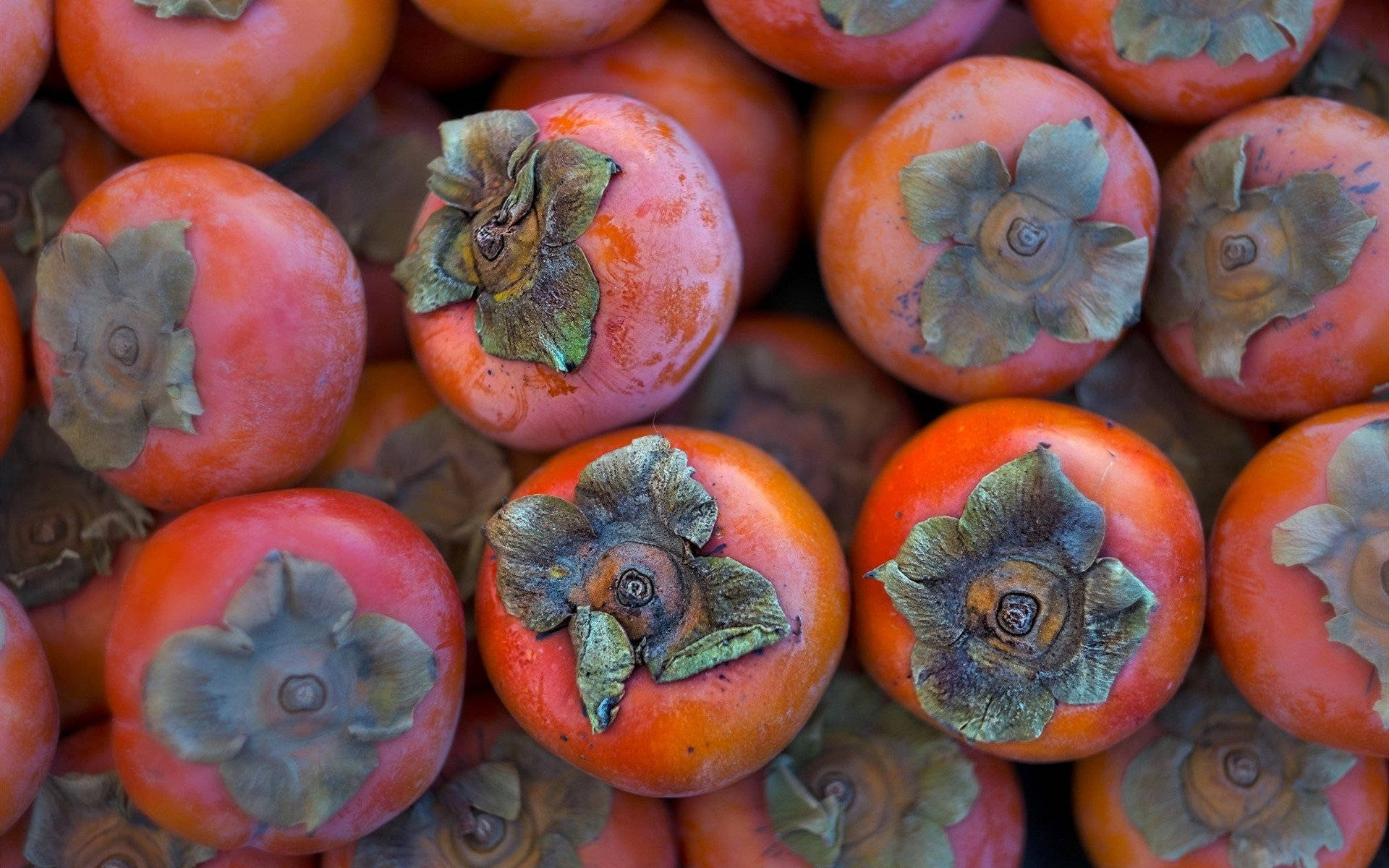 nice-persimmon-fruit-llgrtzy9pcresaf3.jpg